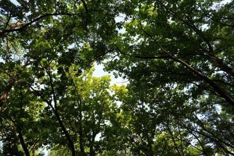 서울둘레길2코스(덕릉고개) 사진 5