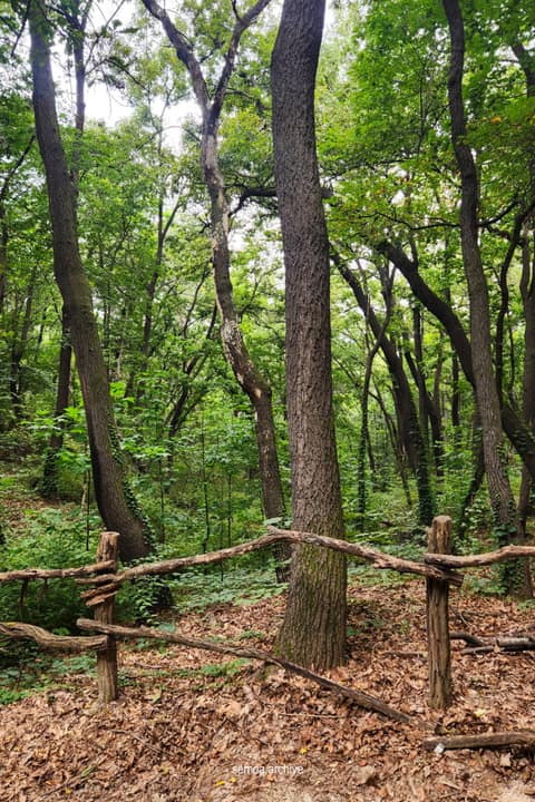 서울둘레길3코스(불암산) 사진 3