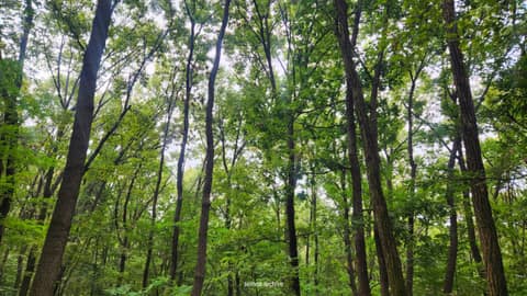 서울둘레길3코스(불암산) 사진 4