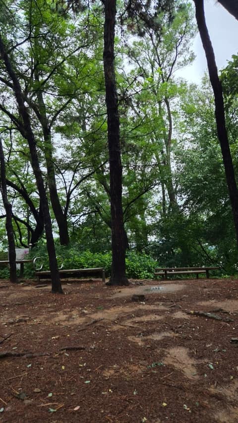 서울둘레길 사진 12