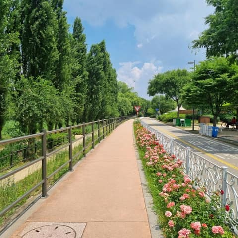 서울둘레길6코스(고덕산) 사진 5