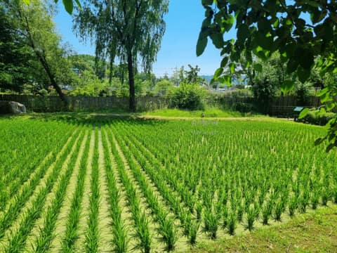 서울둘레길7코스(일자산) 사진 5