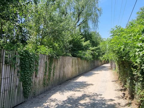 서울둘레길7코스(일자산) 사진 10
