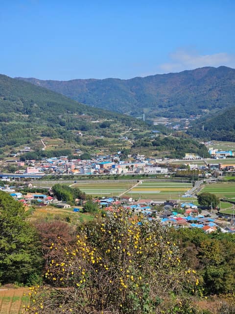 남해바래길14코스(이순신호국길) 사진 8