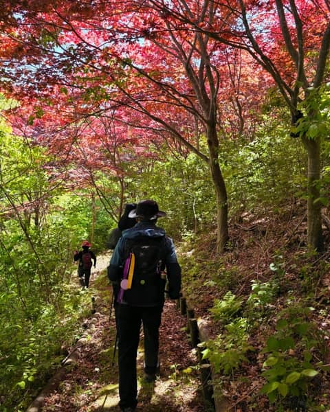 외씨버선길7길(최시형동학길) 사진 1