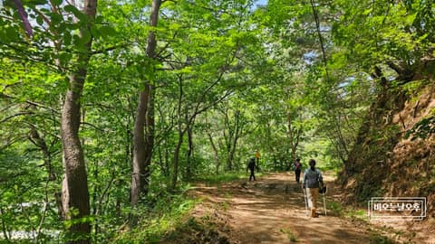 외씨버선길8길(치유의길) 사진 1