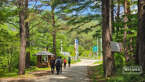 외씨버선길8길(치유의길) 사진 6