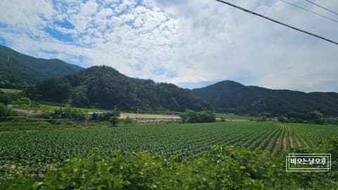 외씨버선길9길(산타하늘길) 사진 1