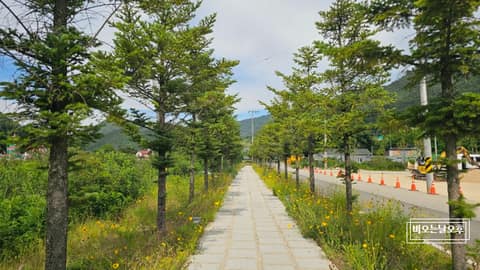 외씨버선길9길(산타하늘길) 사진 10