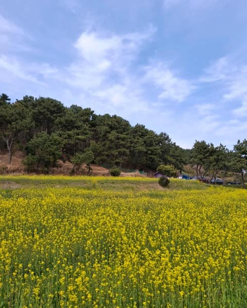 해안누리길30코스 사진 2