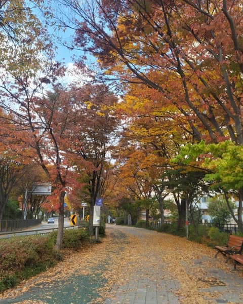 군포수릿길1코스(수리산둘레길) 사진 4