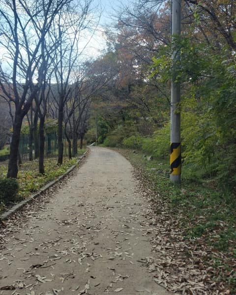 군포수릿길1코스(수리산둘레길) 사진 7