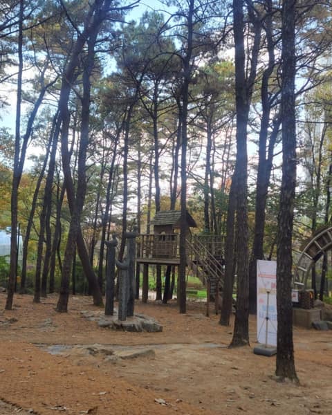 군포수릿길1코스(수리산둘레길) 사진 8