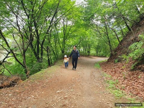 군포수릿길4코스(수리산임도길-바람고개길) 사진 1