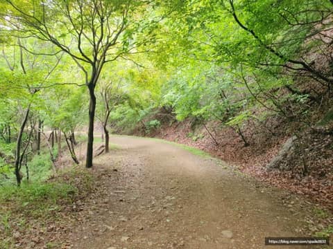 군포수릿길4코스(수리산임도길-바람고개길) 사진 2