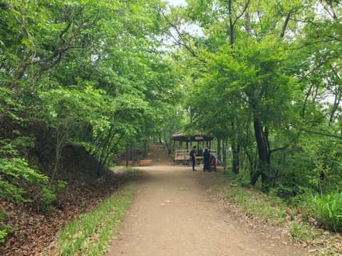 군포수릿길4코스(수리산임도길-바람고개길) 사진 3