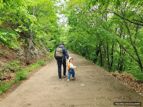 군포수릿길4코스(수리산임도길-바람고개길) 사진 4