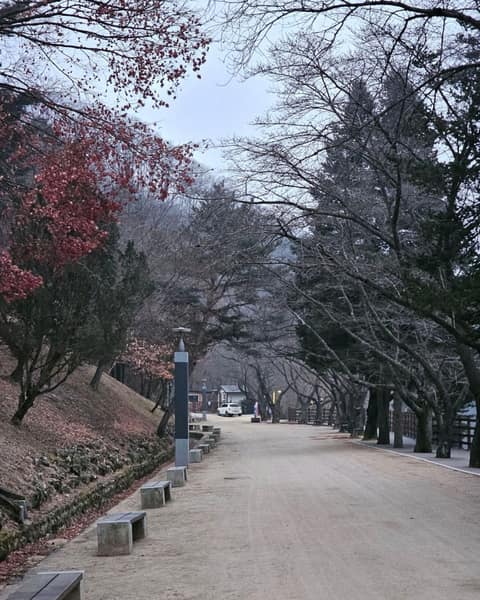 안동호반나들이길 사진 3