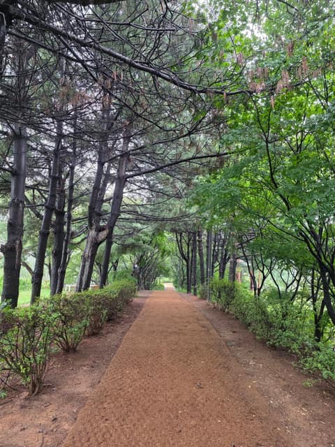 동작충효길 사진 14
