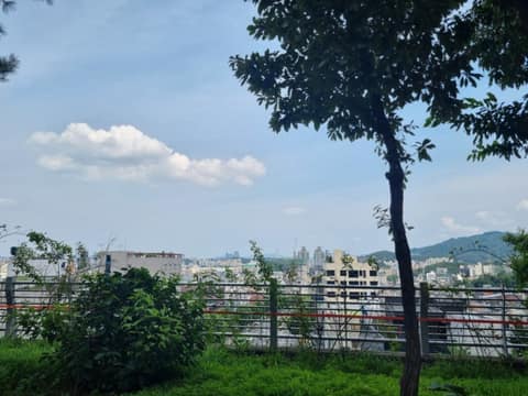 동작충효길7코스(까치산길) 사진 6
