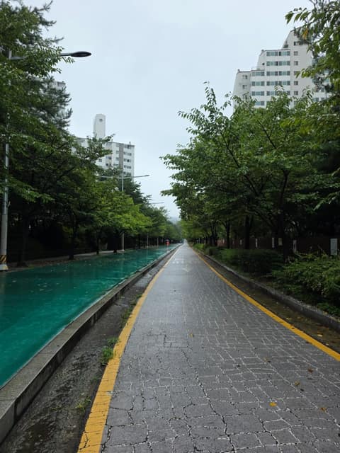 동작충효길7코스(까치산길) 사진 7
