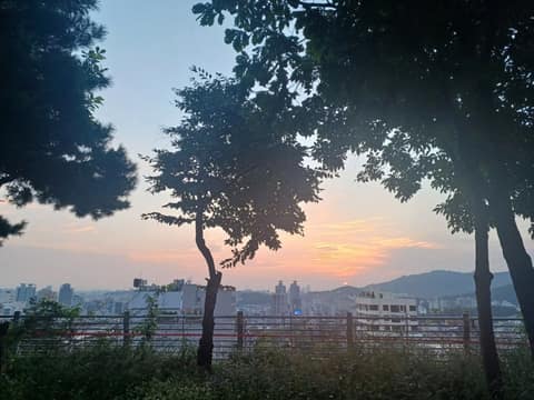 동작충효길7코스(까치산길) 사진 10