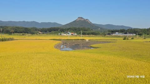 경기옛길영남길8길(죽주산성길) 사진 1
