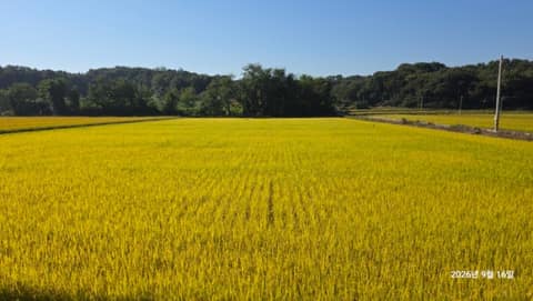 경기옛길영남길8길(죽주산성길) 사진 5