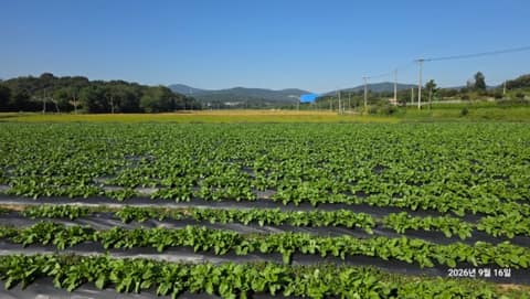 경기옛길영남길8길(죽주산성길) 사진 7