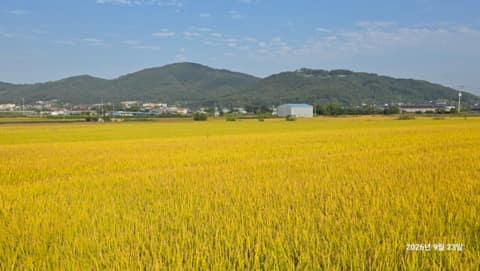 경기옛길영남길9길(죽산성지순례길) 사진 2