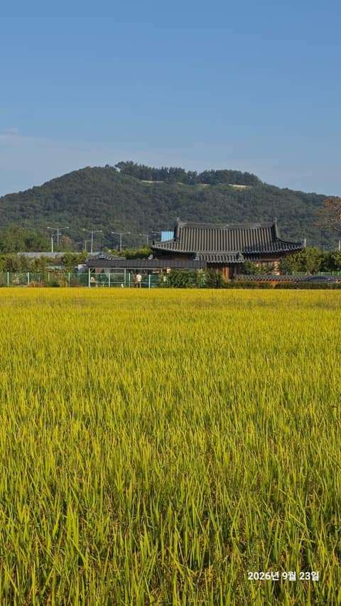 경기옛길영남길9길(죽산성지순례길) 사진 4