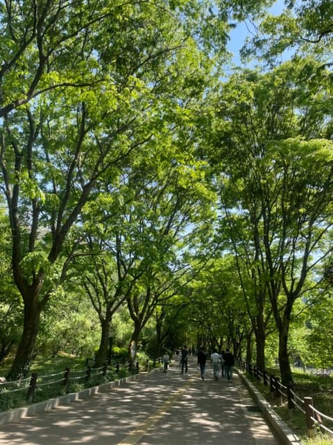 경기옛길영남길1길(달래내고개길) 사진 1