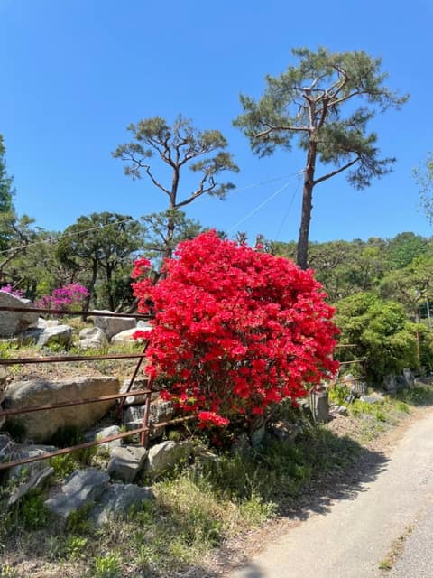 경기옛길영남길1길(달래내고개길) 사진 8