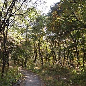 토영이야길1코스 사진 1