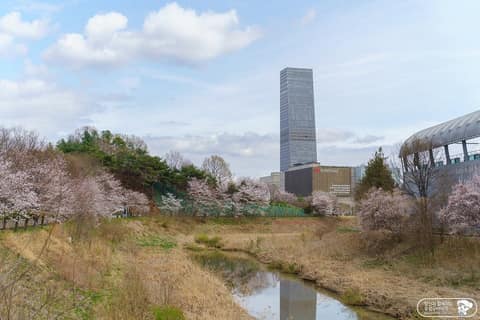 탄동천숲향기길 사진 6