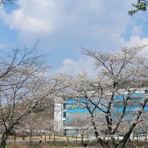 탄동천숲향기길 사진 8