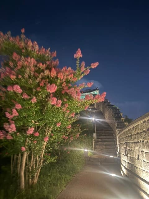 수원팔색길(화성성곽길) 사진 7