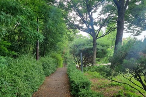 다산성곽길 사진 1