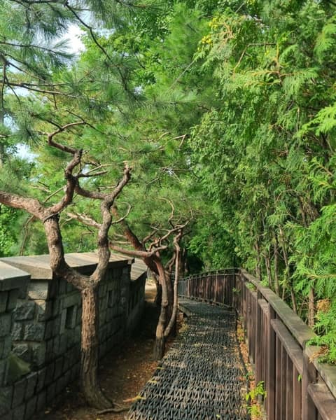 다산성곽길 사진 2