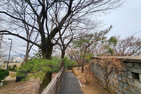 다산성곽길 사진 8