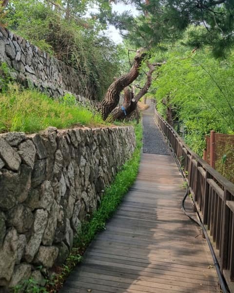 다산성곽길 사진 9