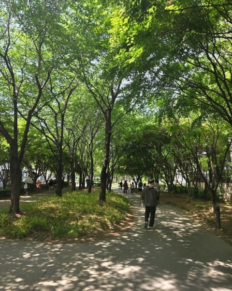 경의선숲길 사진 1