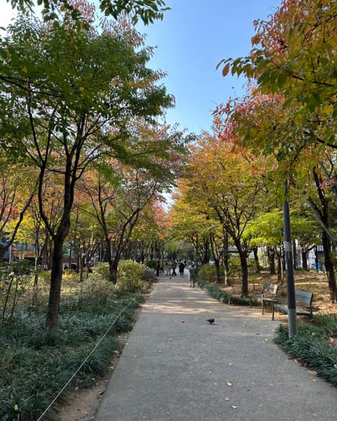 경의선숲길 사진 2