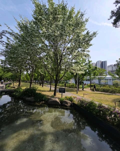 경의선숲길 사진 6