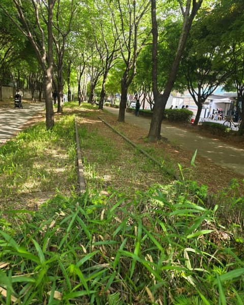 경의선숲길 사진 7