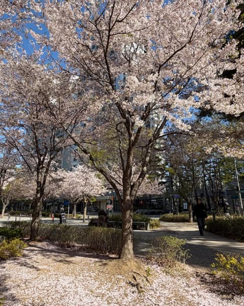 경의선숲길 사진 8