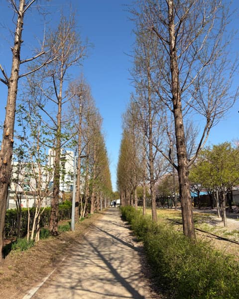 경의선숲길 사진 9