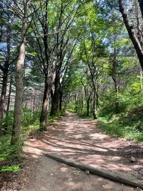 경기옛길삼남길7길(독산성길) 사진 1