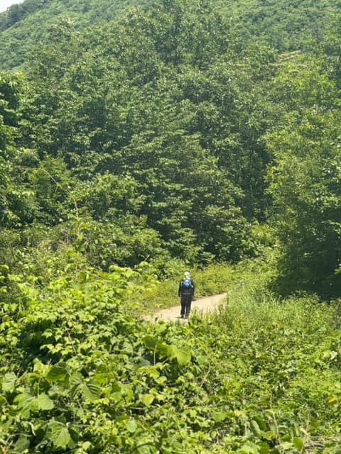 진안고원길3구간(내동산도는길) 사진 5