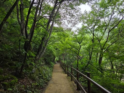 진안고원길9구간(운일암반일암숲길) 사진 4